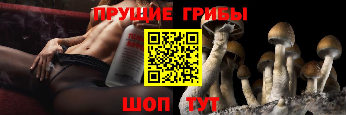 Псилоцибиновые грибы мицелий  Вход с VPN  Галлюциногенные грибы прущие грибы  Пугачёв 